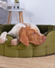 cuccia rotonda tweed cane