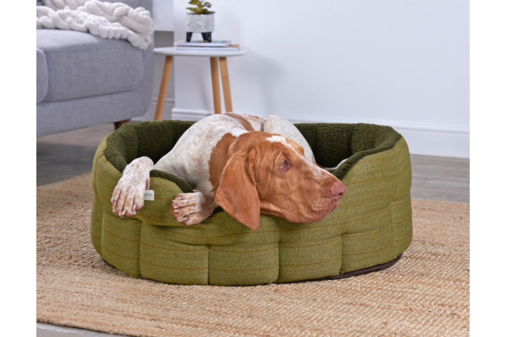 cuccia rotonda tweed cane