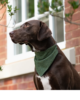 Bandane in tweed - Thumbnail Image 5