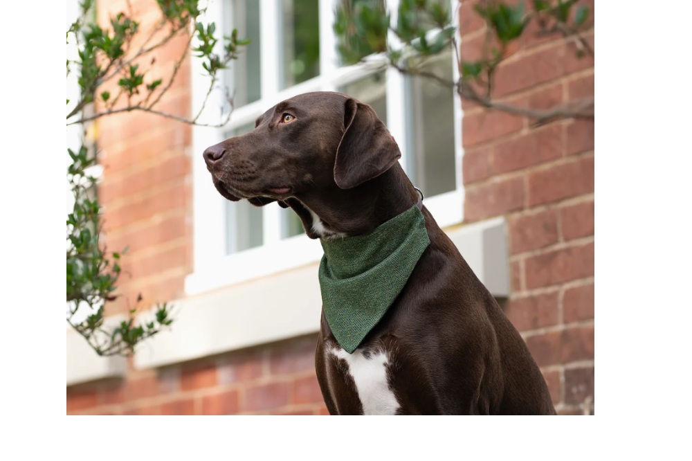 Bandane in tweed - immagine 5