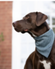 Bandane in tweed - Thumbnail Image 4