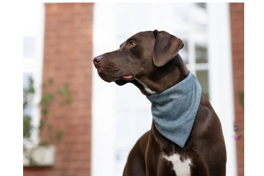 Bandane in tweed - immagine 4