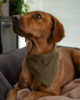 Bandane in tweed - Thumbnail Image 3