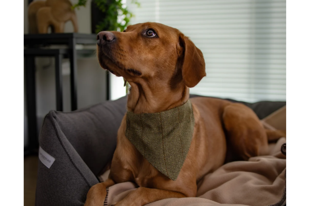 Bandane in tweed - immagine 3