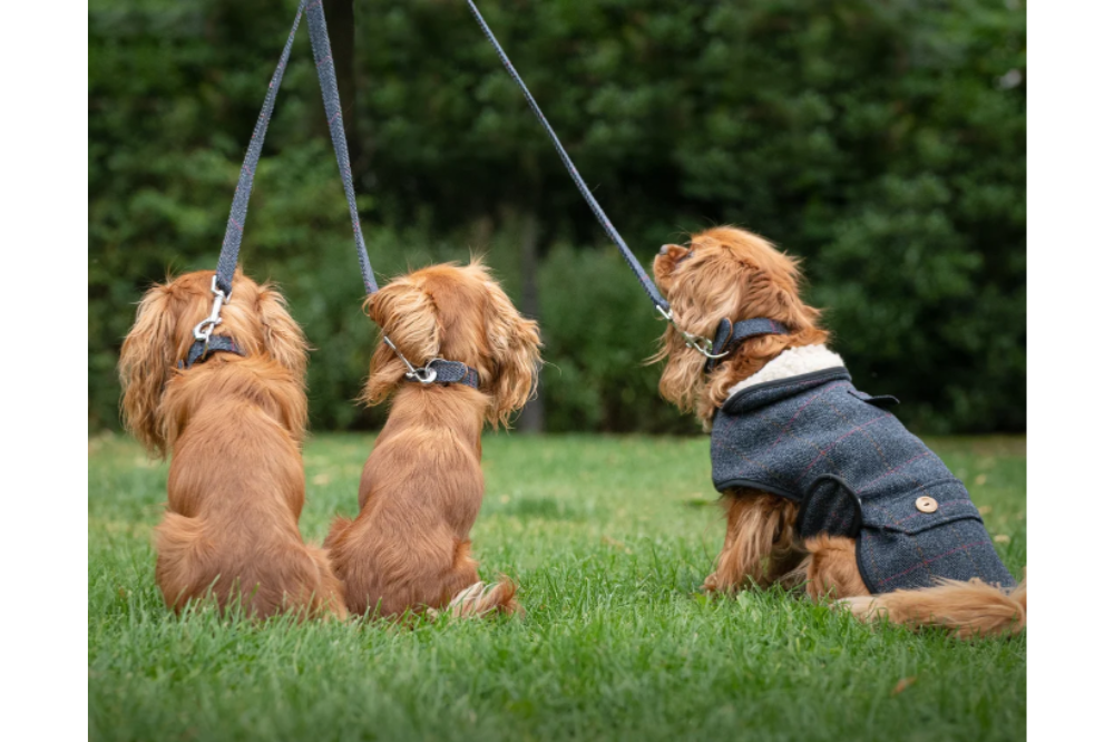 Collare in tweed - immagine 3