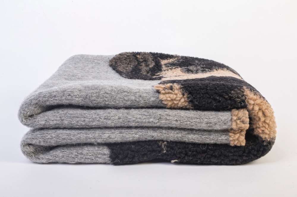 coperta per cani bassotto pelo duro