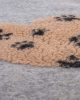 coperta per cani bassotto pelo duro