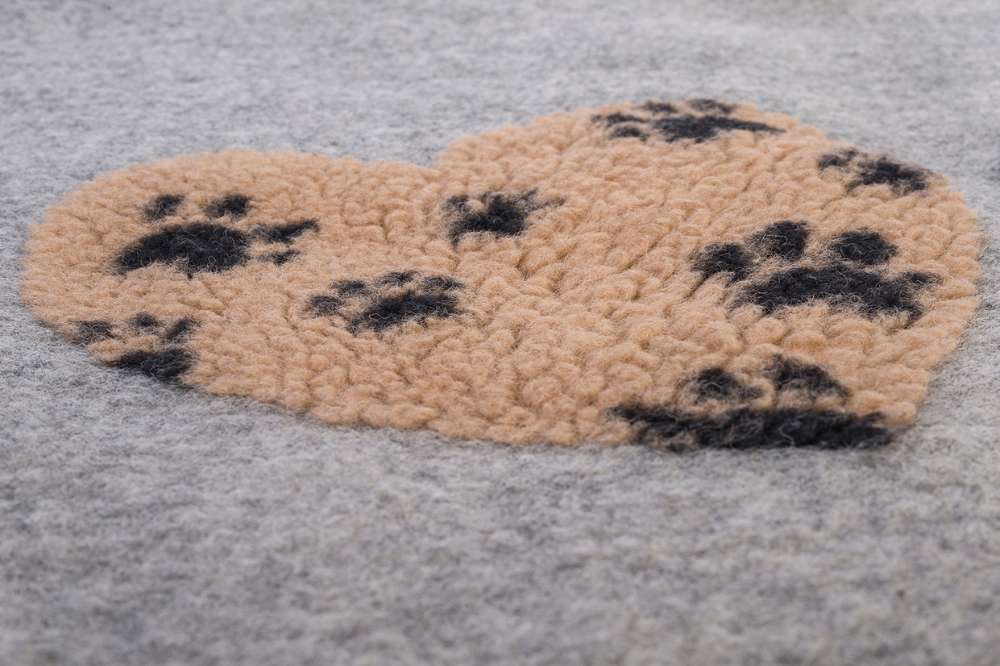 coperta per cani bassotto pelo duro
