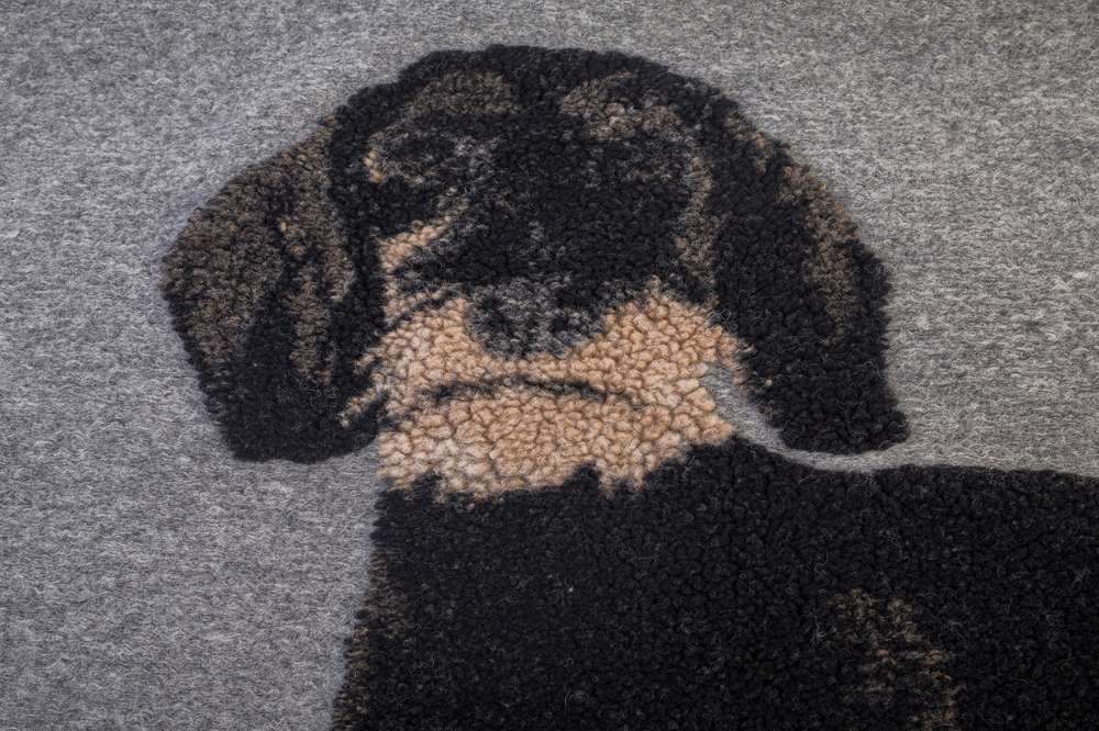 coperta per cani bassotto pelo duro