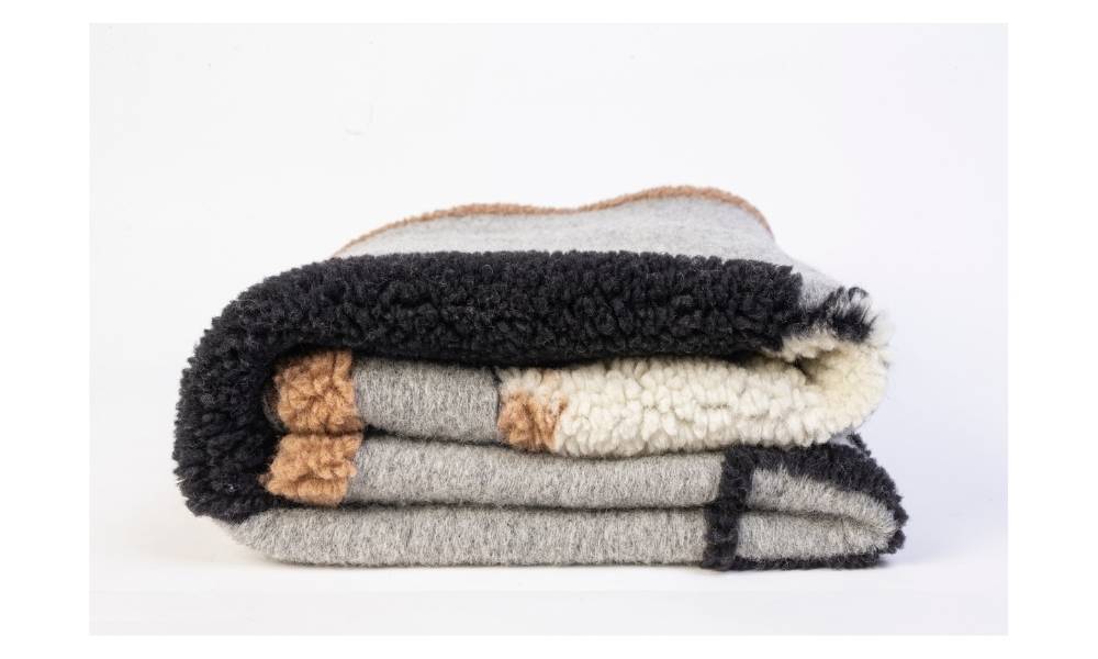 Coperta Cane Cavalier King Coperta Cane Cavalier King