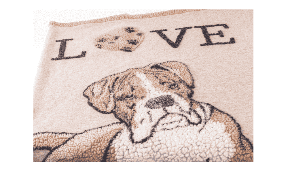 Coperta cane boxer