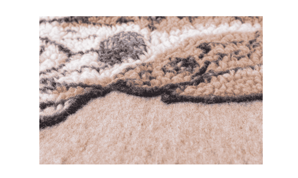 Coperta cane boxer