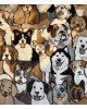 Coperta cane cani in armonia