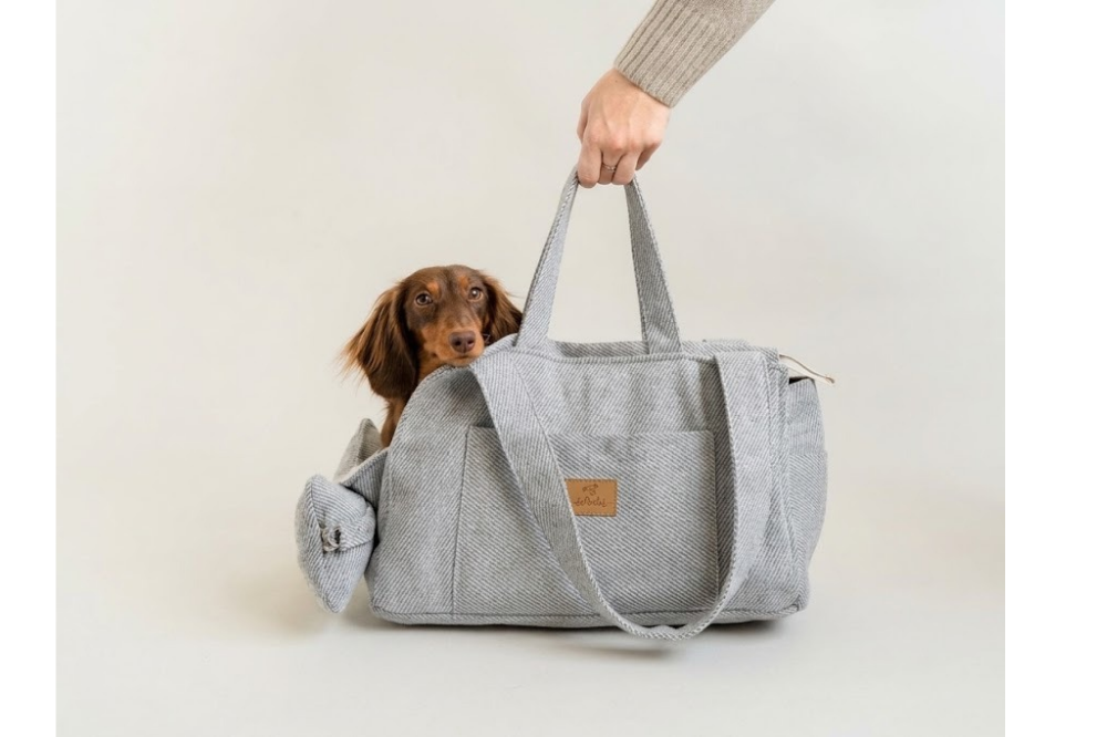 borsa trasportino 01