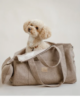 Borsa Trasportino Tami - Thumbnail Image 4