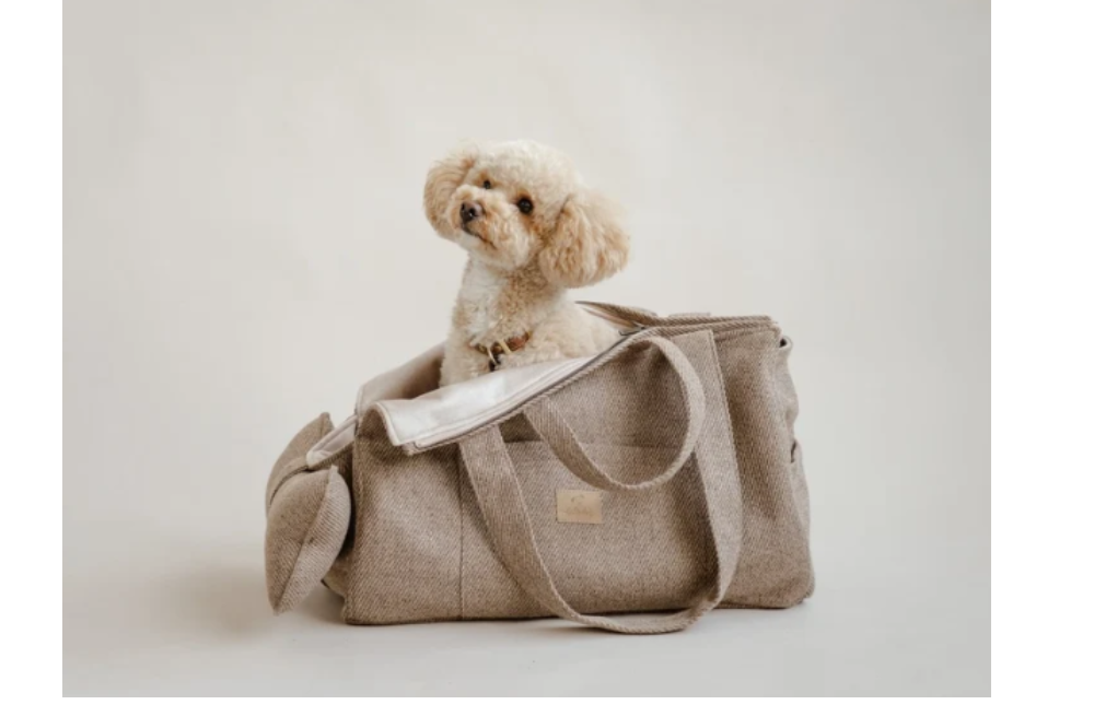 Borsa Trasportino Tami - immagine 4