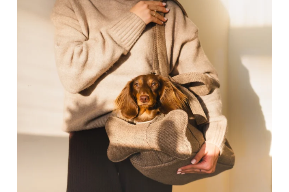 Borsa Trasportino Tami - immagine 7