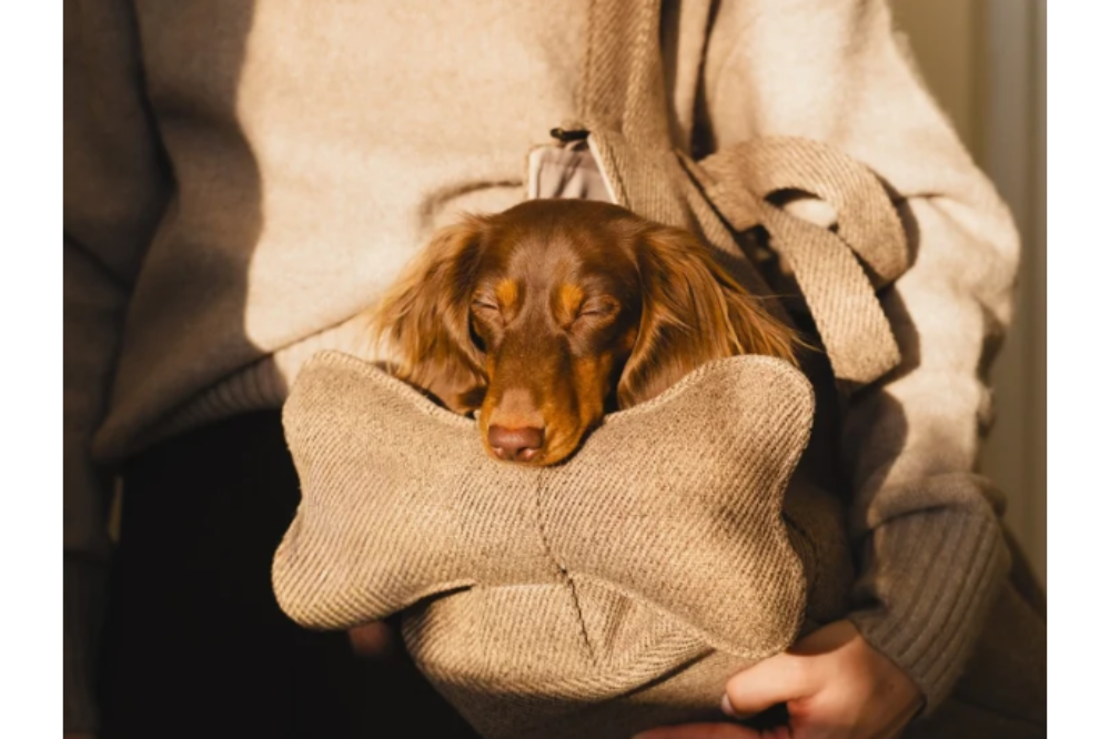 Borsa Trasportino Tami - immagine 9