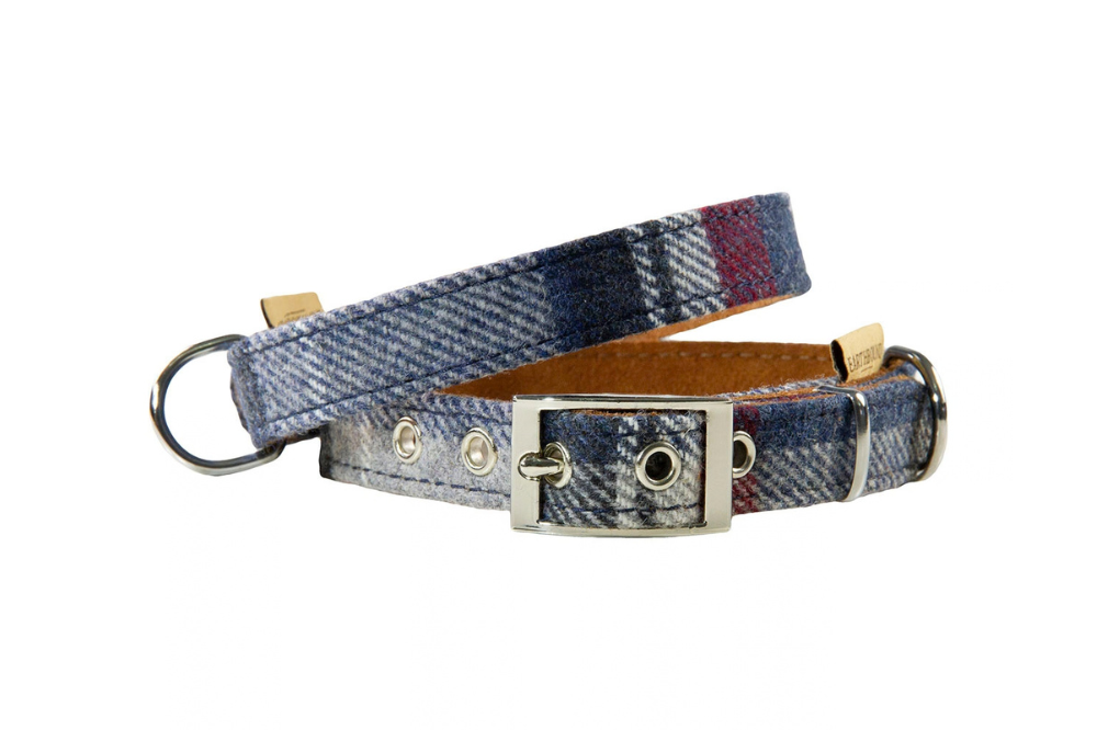 collare in tweed