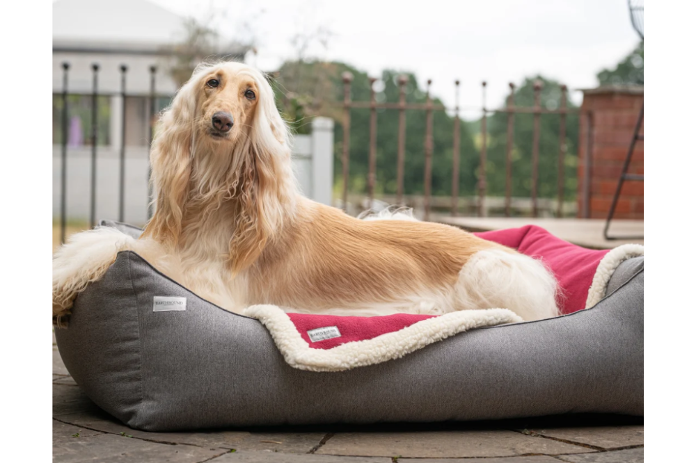 Coperta in Pile Sherpa Burgundy - immagine 2