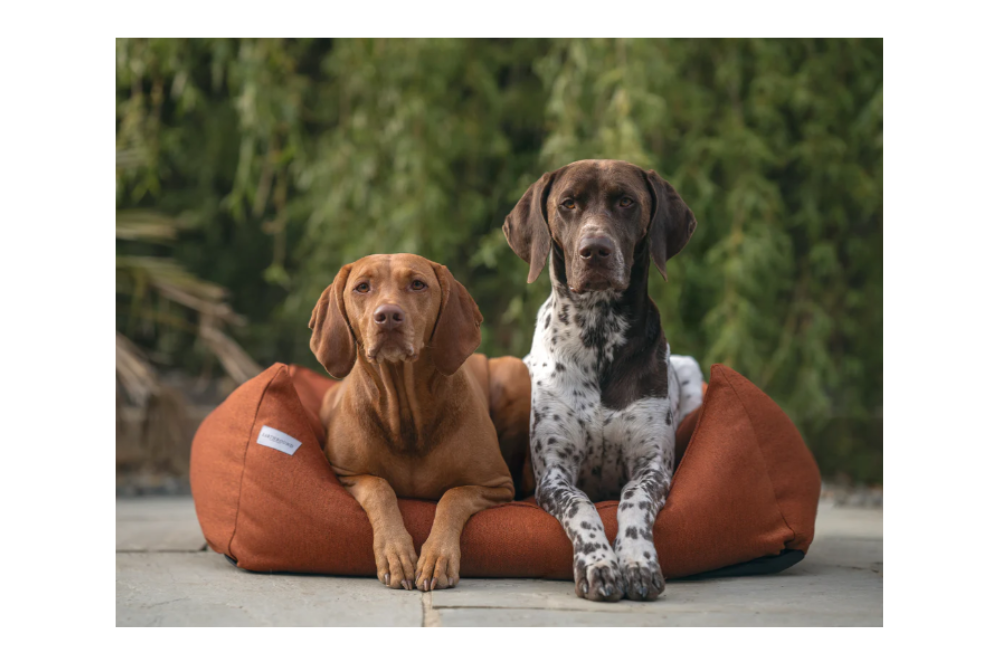 Cuccia a divano sfoderabile Burnt Orange - immagine 4