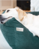 cuccia sfoderabile per cani