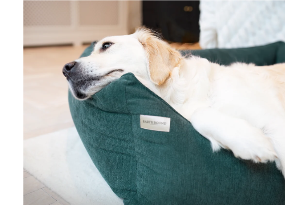 cuccia sfoderabile per cani