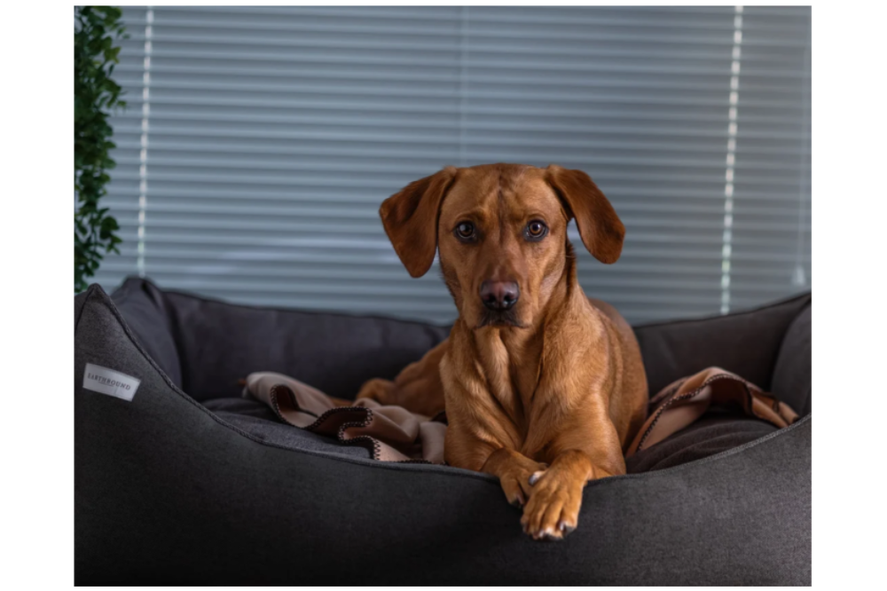 cuccia sfoderabile per cani