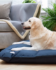 cuscino per cani waterproof (