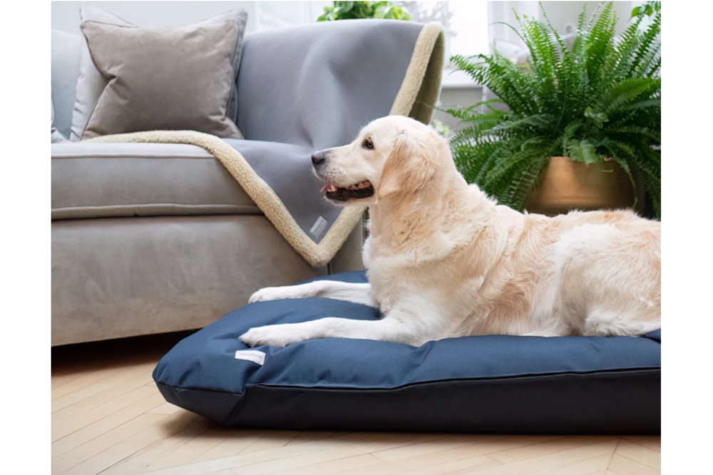 cuscino per cani waterproof (