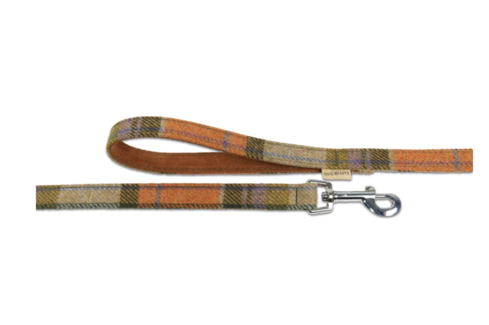 guinzagli in tweed