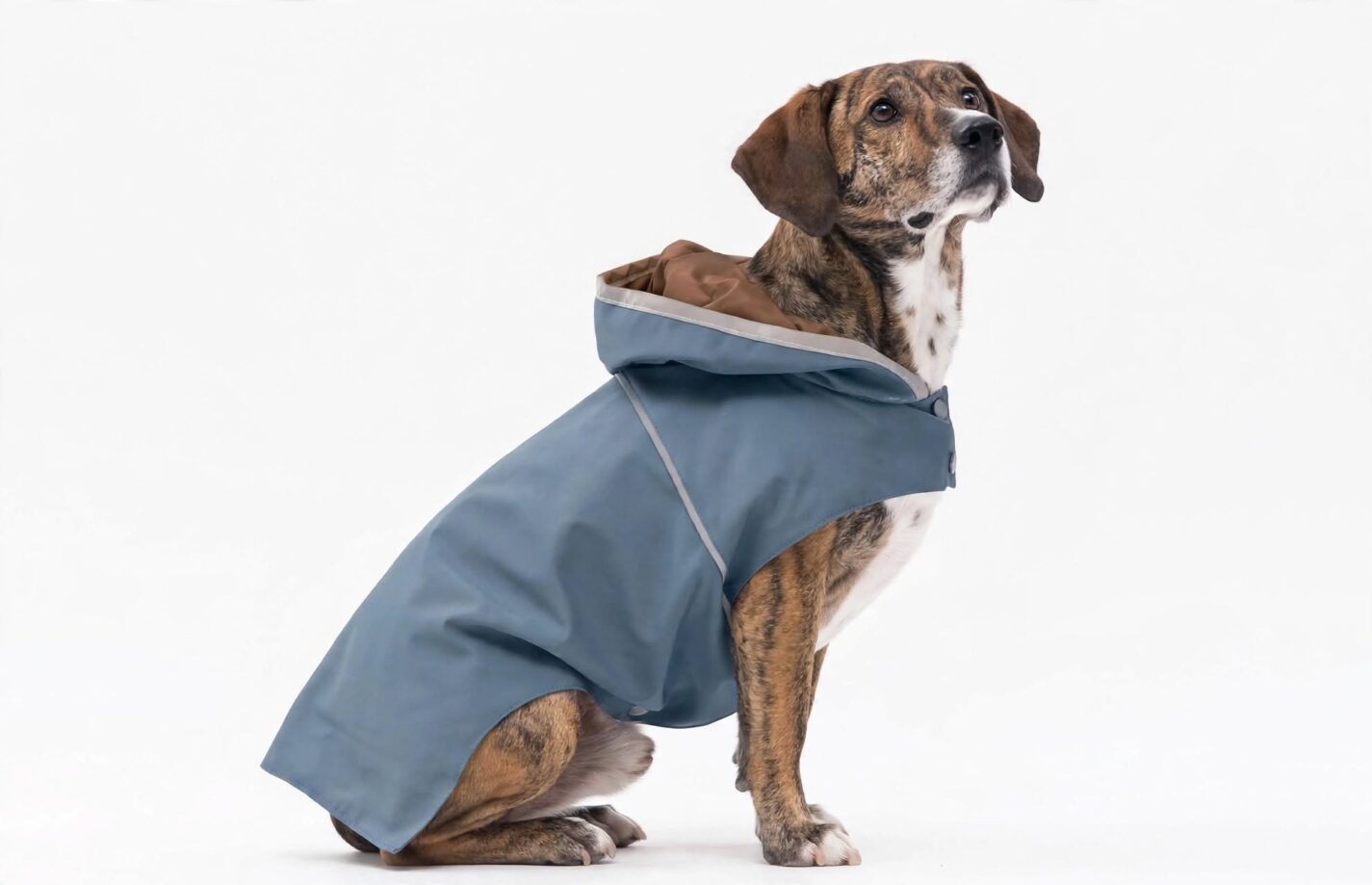 impermeabile per cane