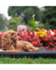materassino per cani waterproof