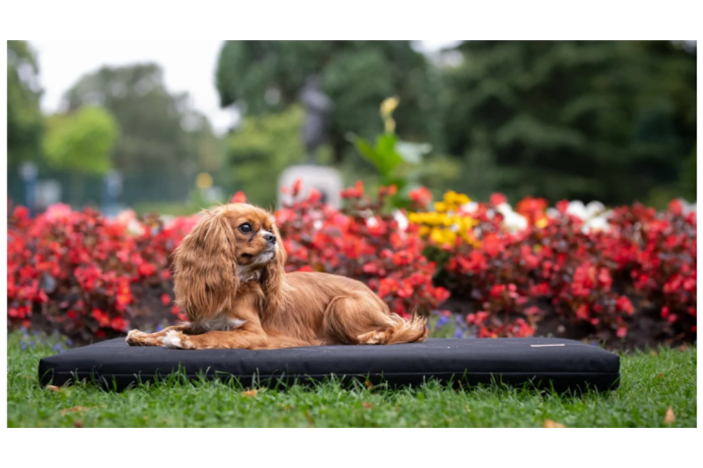 materassino per cani waterproof