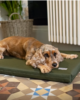 Materassino Waterproof per cani Verde - Thumbnail Image 2