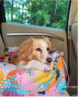 Seggiolino Auto per Cani Imbottito e Impermeabile con Cintura di Sicurezza Ero Soft - Thumbnail Image 3