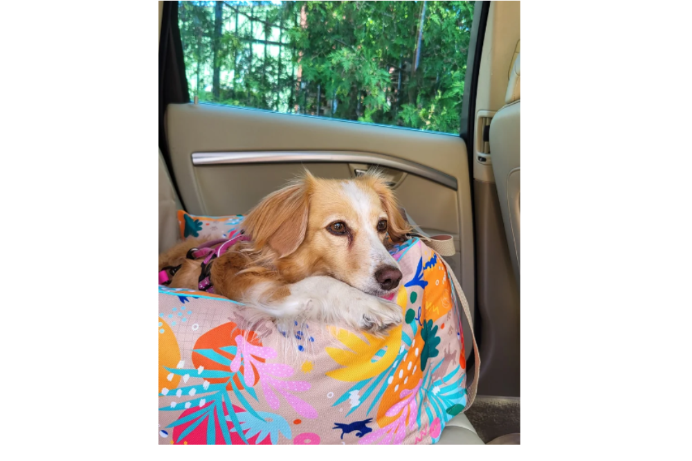 Seggiolino Auto per Cani Imbottito e Impermeabile con Cintura di Sicurezza Ero Soft - immagine 3