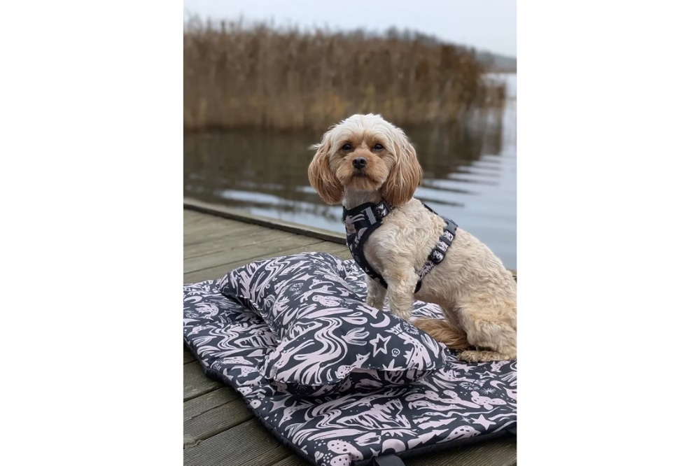 Tappetino da Viaggio per Cani Costa Roll-Up - immagine 6