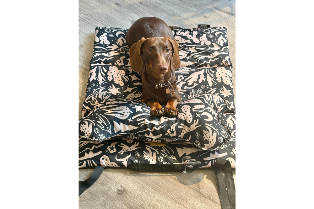 Tappetino da Viaggio per Cani Costa Roll-Up - immagine 7
