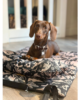 Tappetino da Viaggio per Cani Costa Roll-Up - Thumbnail Image 8