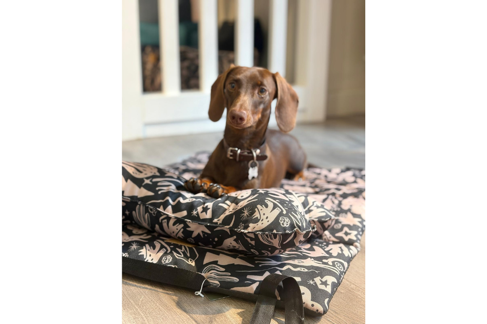 Tappetino da Viaggio per Cani Costa Roll-Up - immagine 8