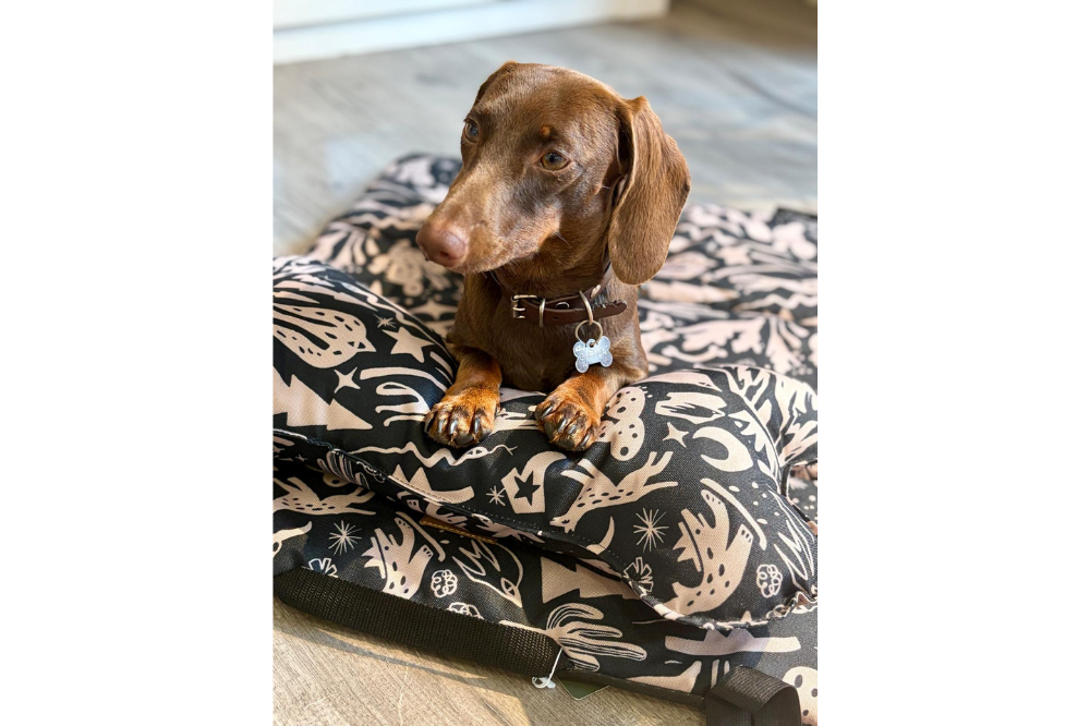 Tappetino da Viaggio per Cani Costa Roll-Up - immagine 9