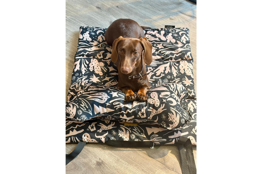 Tappetino da Viaggio per Cani Costa Roll-Up - immagine 11